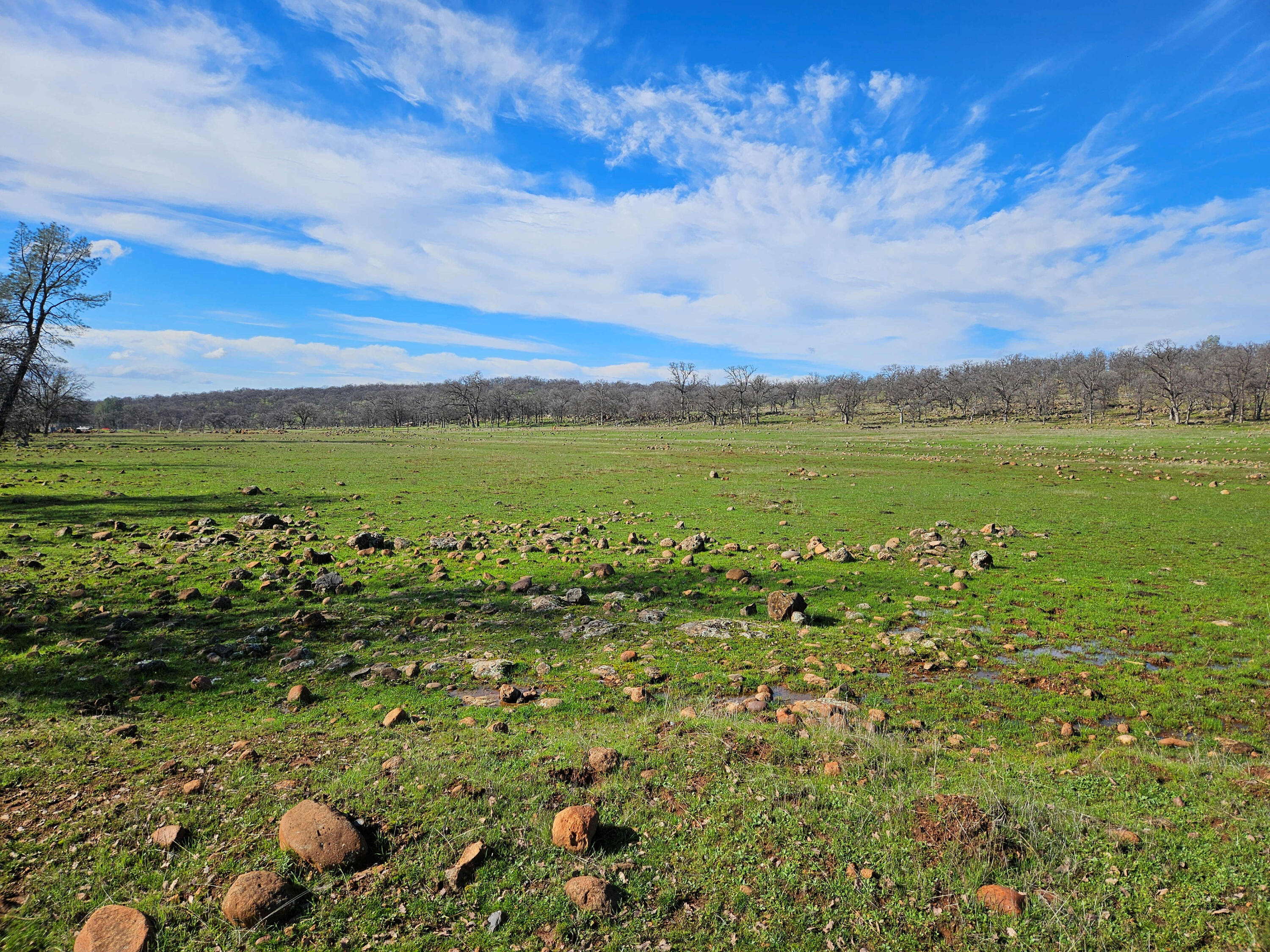 7255 Hyrax Road Shingletown, CA 96088 - Photo 55 of 77 Open space