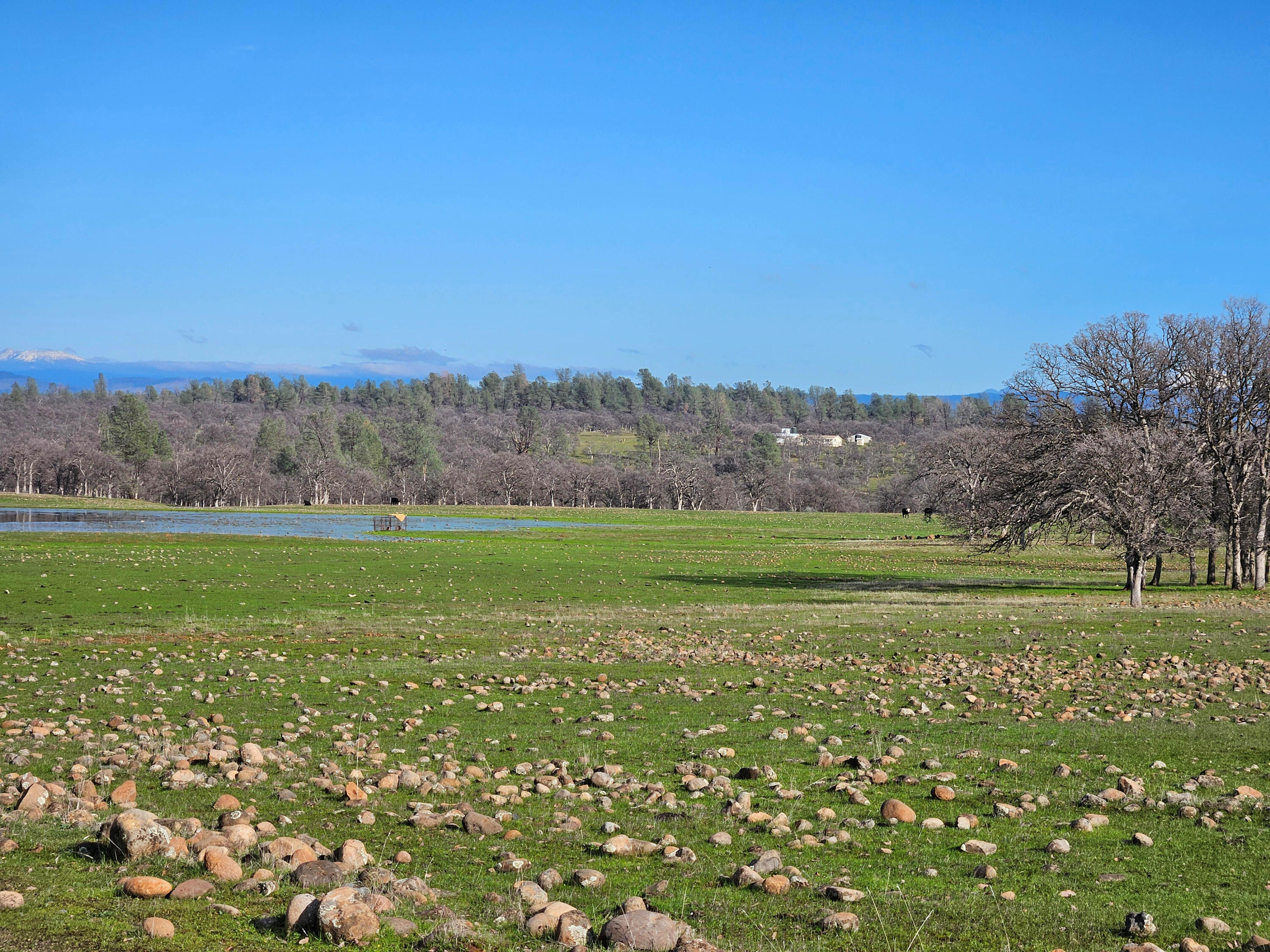 7255 Hyrax Road Shingletown, CA 96088 - Photo 59 of 77 Pond and home