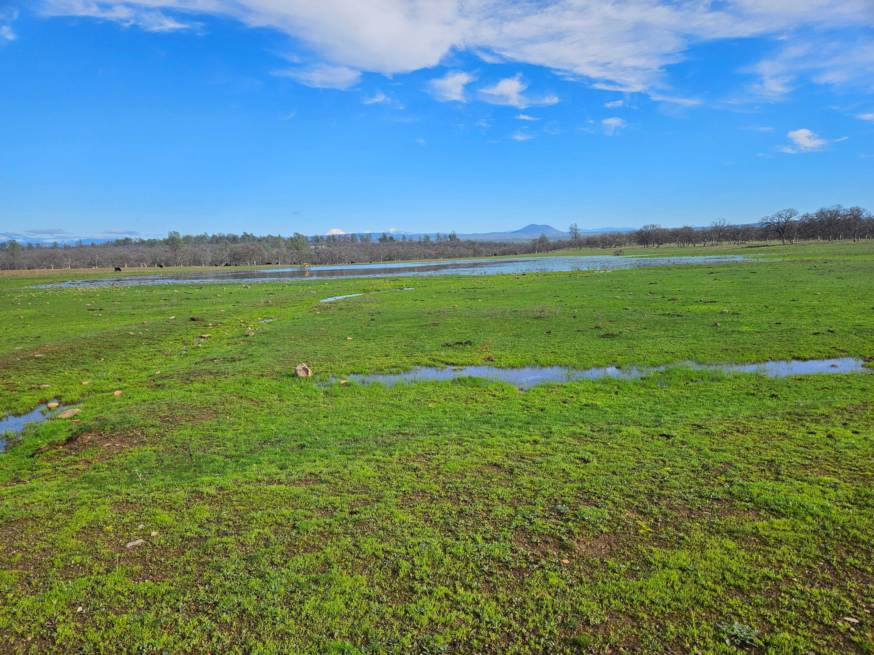 7255 Hyrax Road Shingletown, CA 96088 - Photo 60 of 77 Pond and Lassen