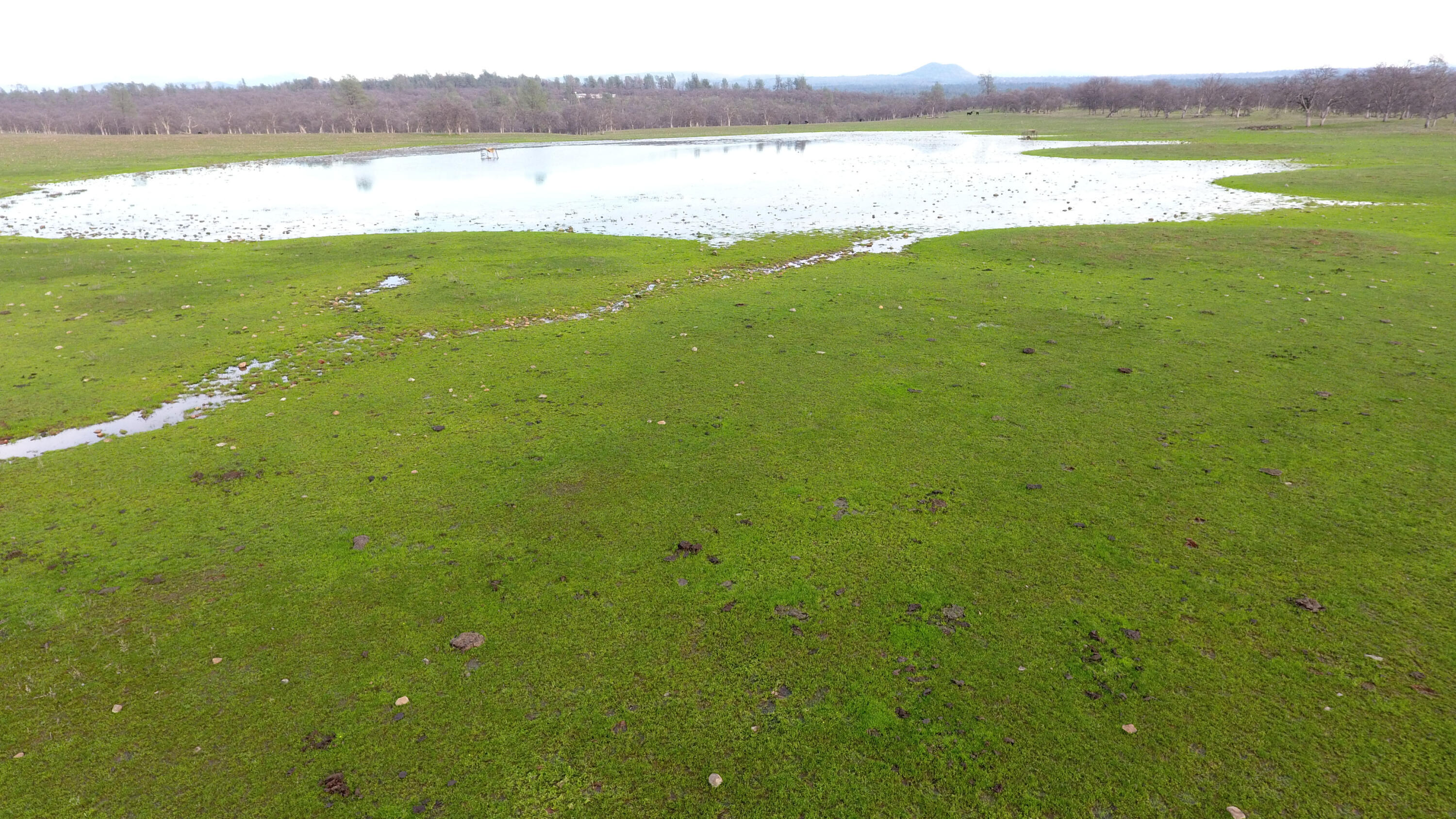 7255 Hyrax Road Shingletown, CA 96088 - Photo 61 of 77 Pond and meadow