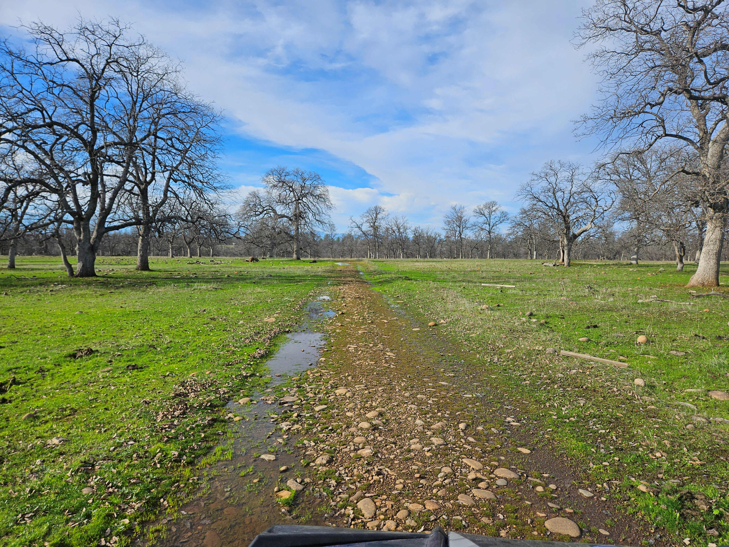 7255 Hyrax Road Shingletown, CA 96088 - Photo 65 of 77 Road from house to Hyrax