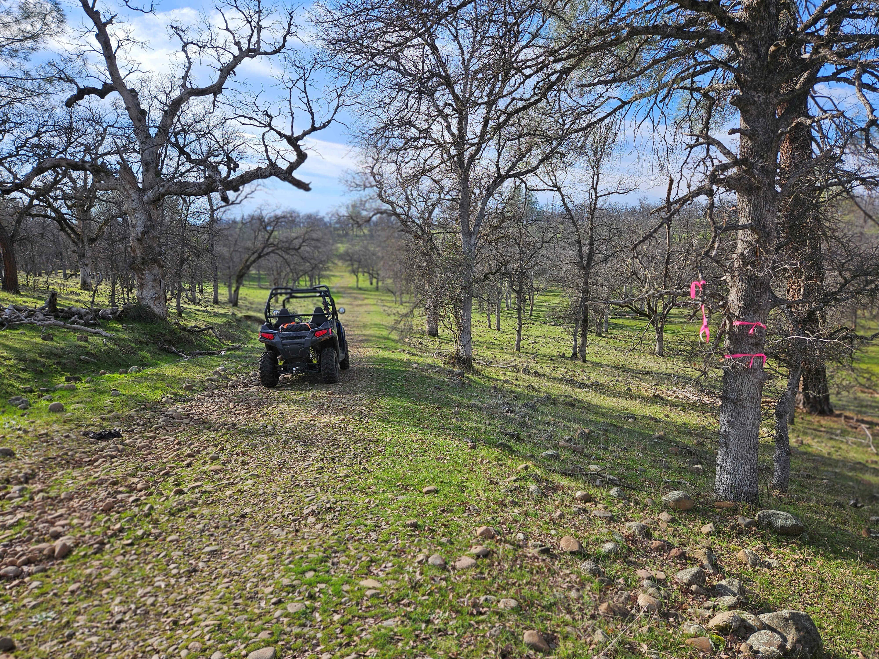 7255 Hyrax Road Shingletown, CA 96088 - Photo 66 of 77 Road to Bear Creek