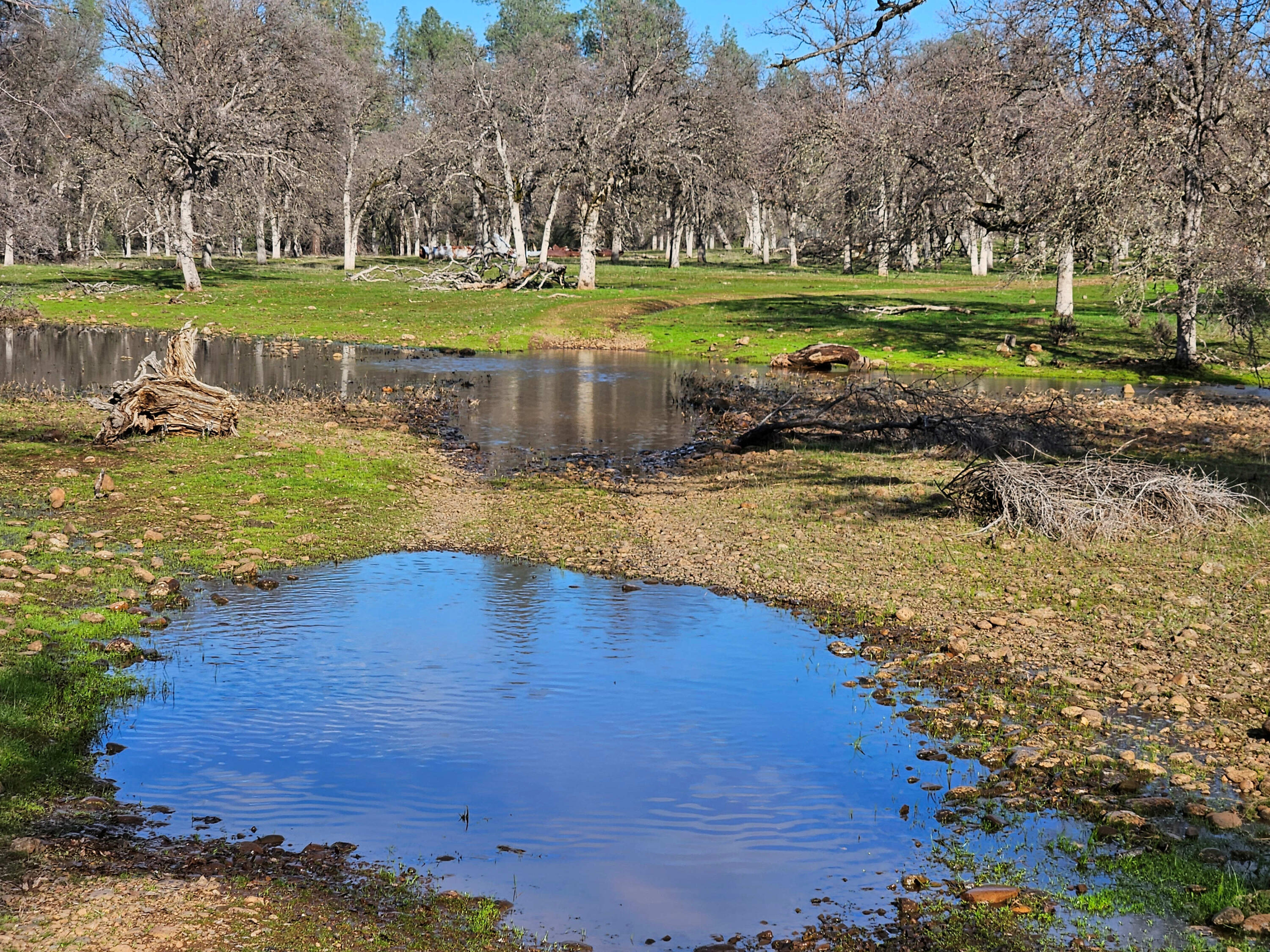 7255 Hyrax Road Shingletown, CA 96088 - Photo 71 of 77 Water crossing on way to Bear Creek
