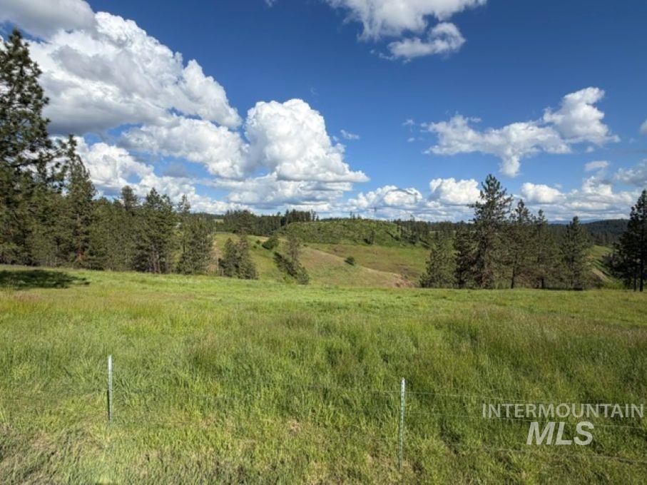 119 Beaver Hill Road Kamiah, ID 83536 - Photo 37 of 48