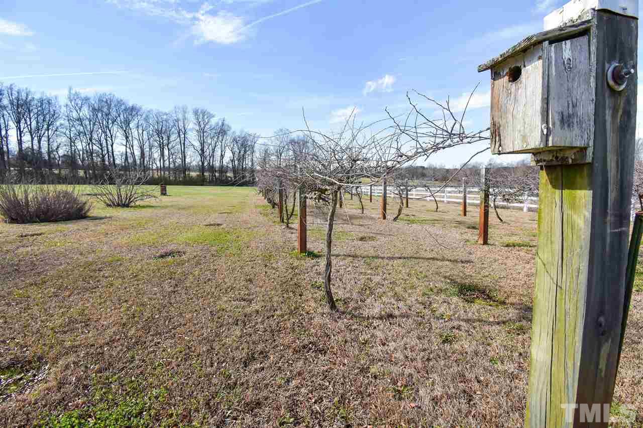 5221 Old Stage Road North Angier, NC 27501 - Photo 29 of 30