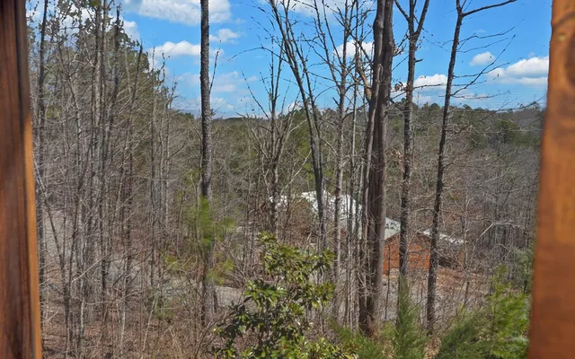 $766,777 | 101 Hideaway Trail, Copperhill, TN 37317