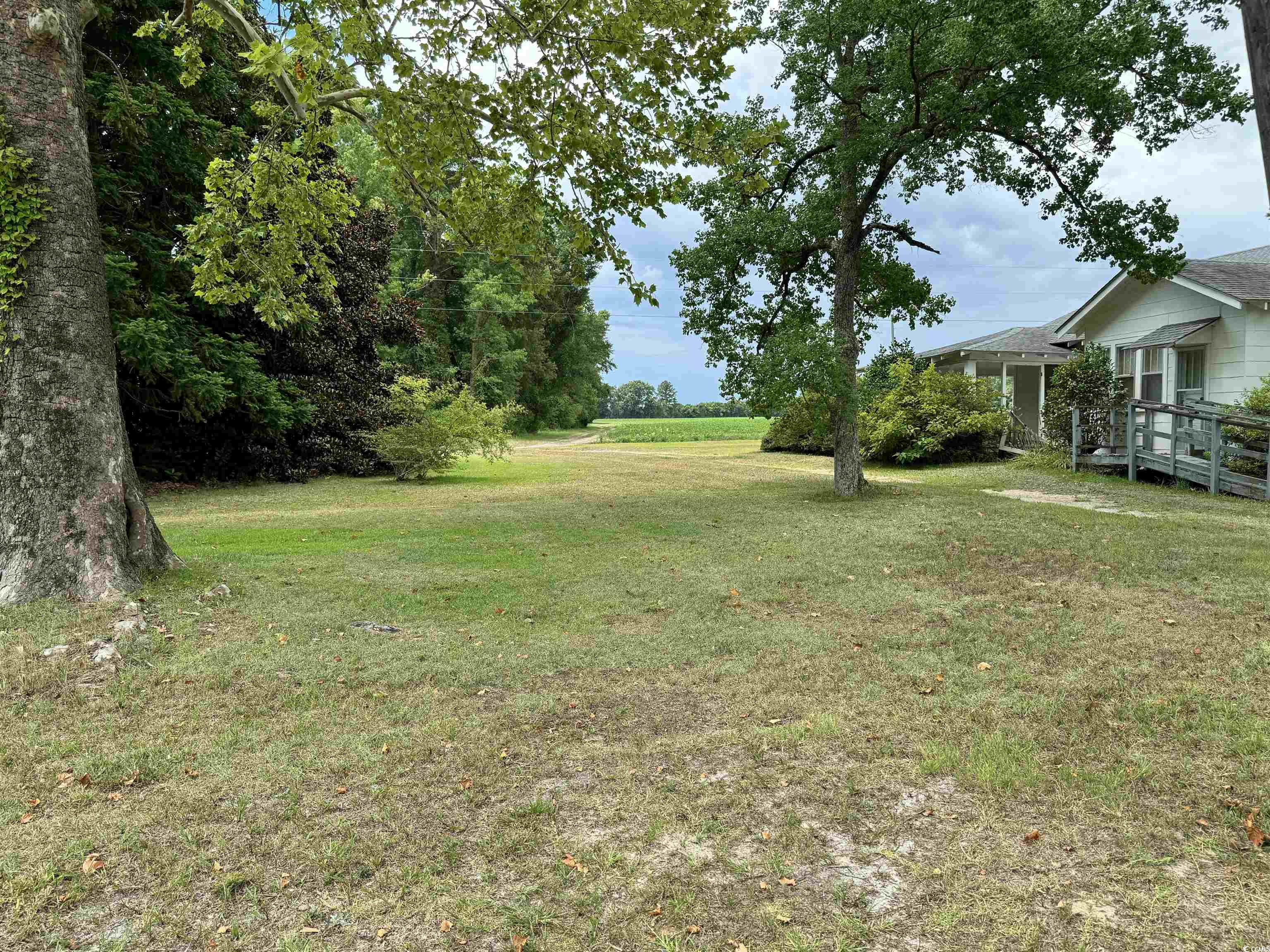 3930 Highway 917 Mullins, SC 29574 - Photo 15 of 18