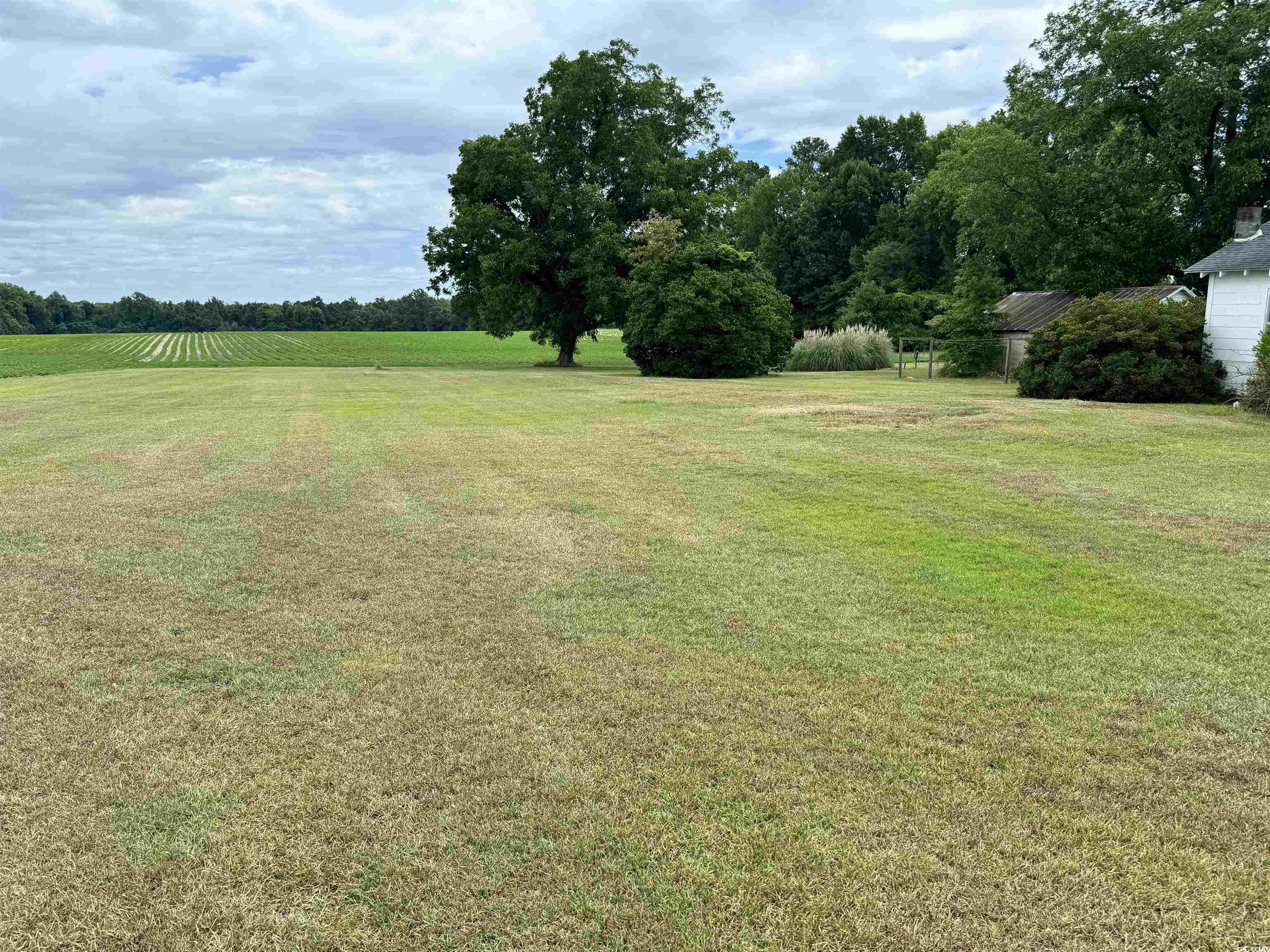 3930 Highway 917 Mullins, SC 29574 - Photo 18 of 18