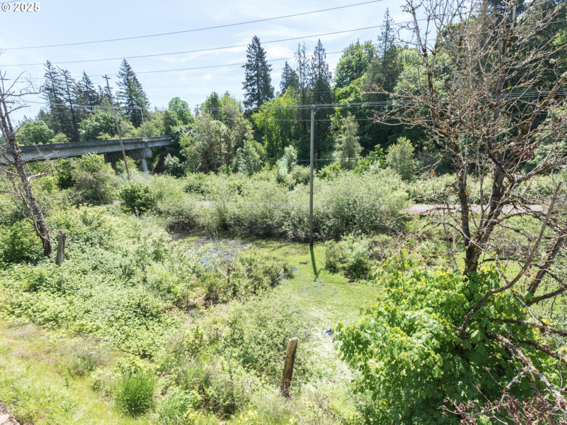 4556 Southwest 11th Street Gresham, OR 97080 - Photo 28 of 31 a view of a forest with a tree