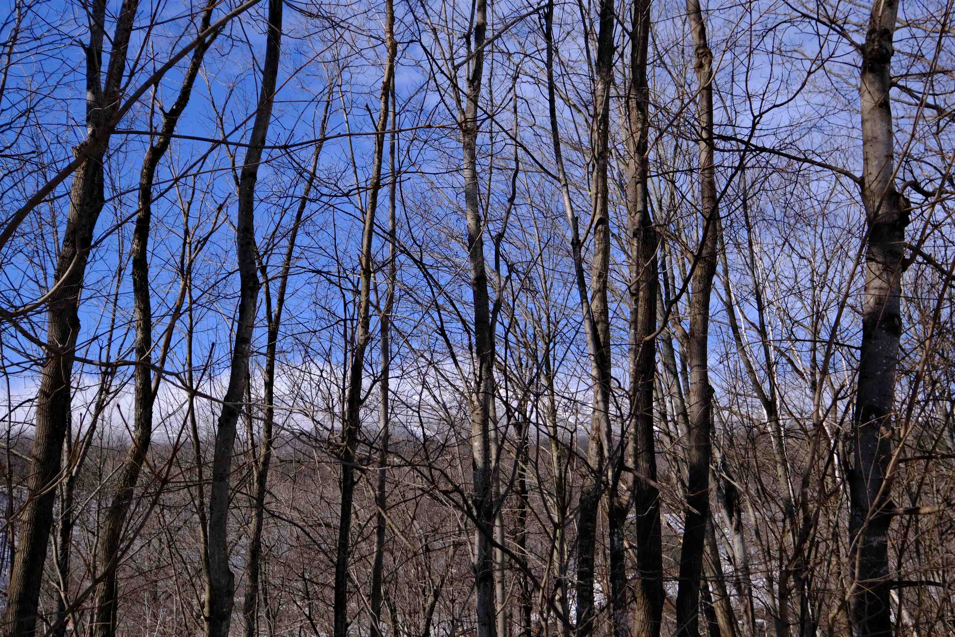 0 Prospect Street, Unit 3 Ludlow, VT 05149 - Photo 8 of 26