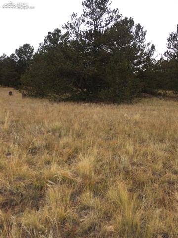Tbd Tbd Rhyolite Road Cripple Creek, CO 80813 - Photo 2 of 4