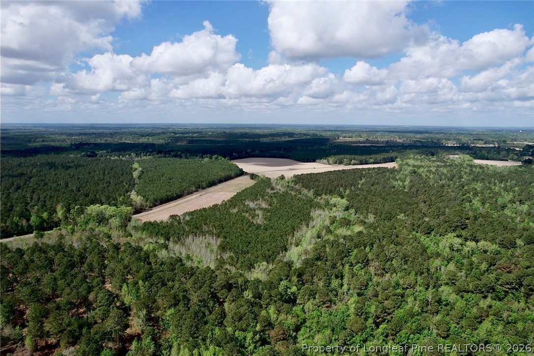 3331 Bogie Island Road Fayetteville, NC 28312 - Photo 5 of 10
