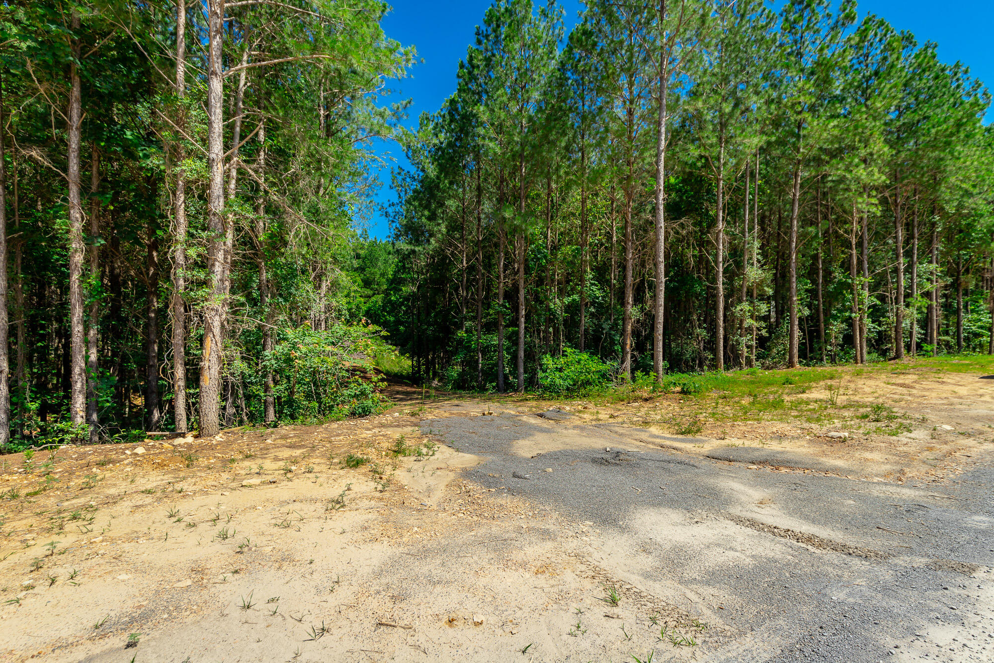 0 Split Rail Way, Unit LOT 1163 Guild, TN 37340 - Photo 19 of 118 River Gorge Lot 1163 HD-2