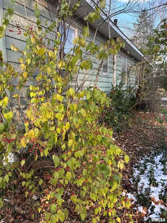 a backyard of a house