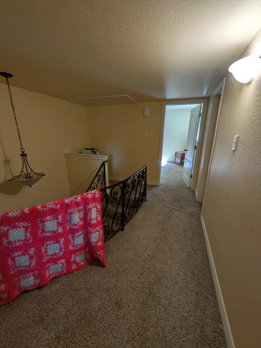 25102 Burrard Street Spring, TX 77373 - Photo 26 of 27