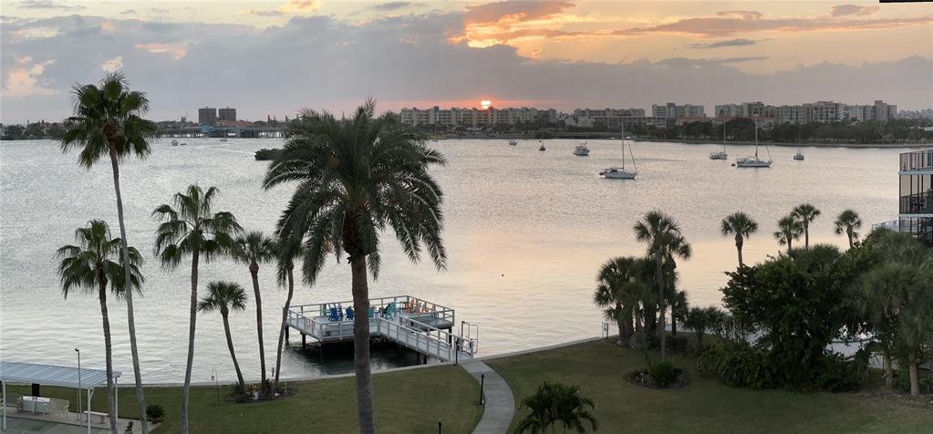 1868 Shore Drive South, Unit 608 South Pasadena, FL 33707 - Photo 33 of 36 a view of a lake with palm trees