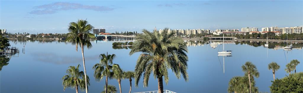 1868 Shore Drive South, Unit 608 South Pasadena, FL 33707 - Photo 34 of 36 a view of a lake with a palm trees