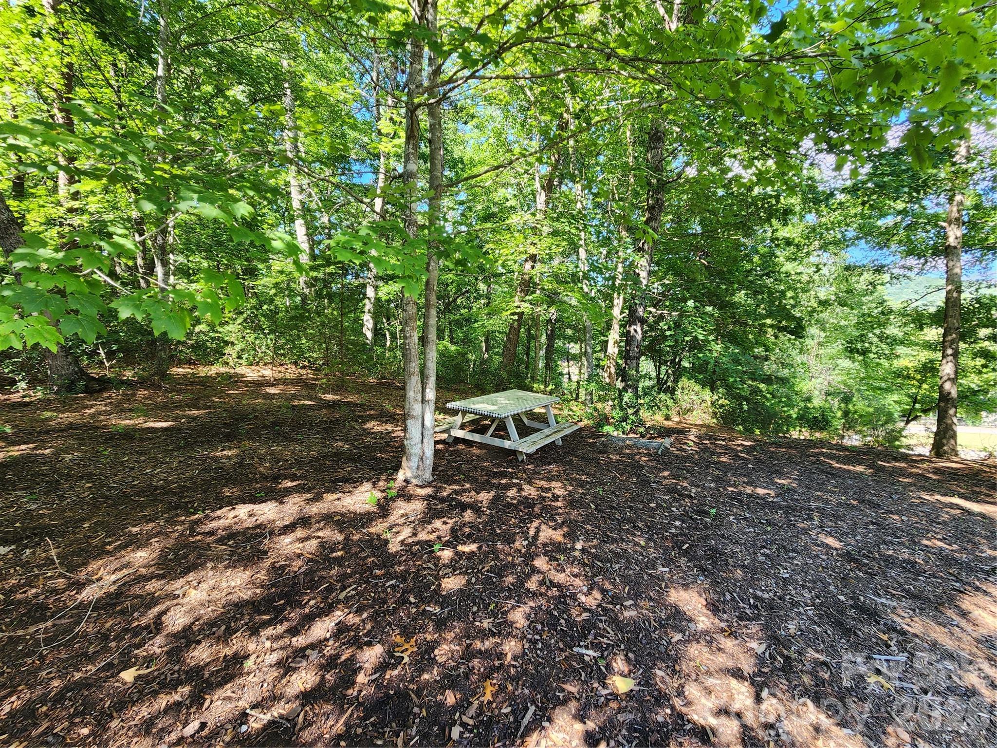 124 Huntington Road Lake Lure, NC 28746 - Photo 26 of 36 Gallery Image 26