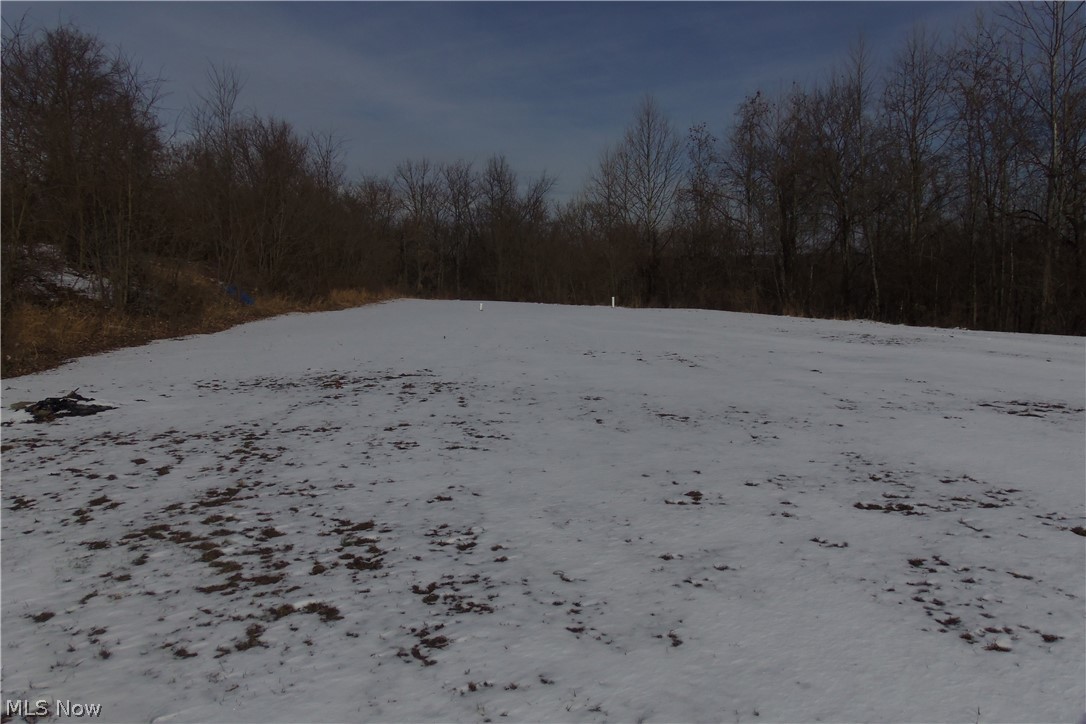 2905 Eldersville Road Colliers, WV 26035 - Photo 26 of 29
