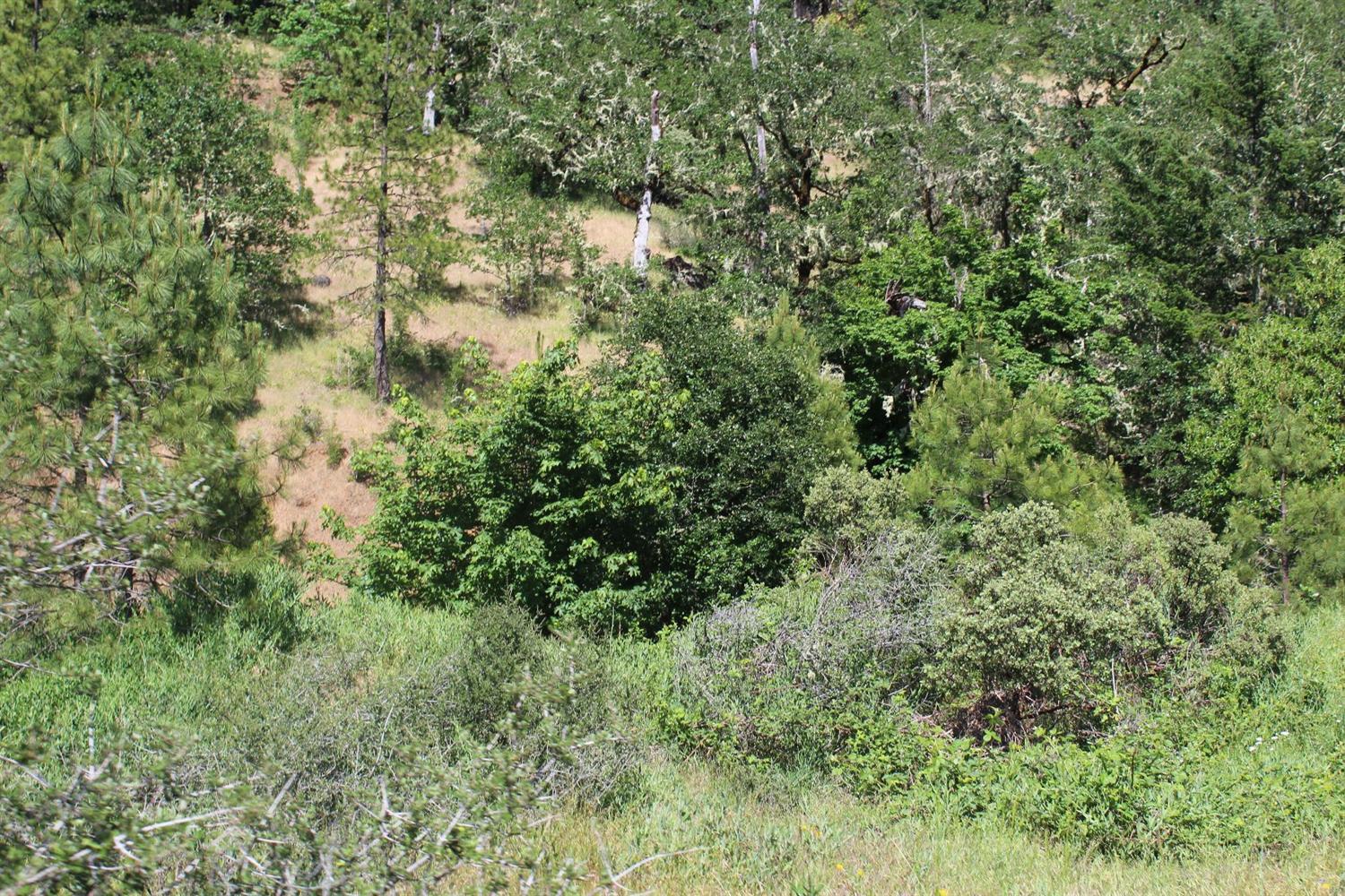 7001 Takilma Road Cave Junction, OR 97523 - Photo 1 of 3 Primary Photo