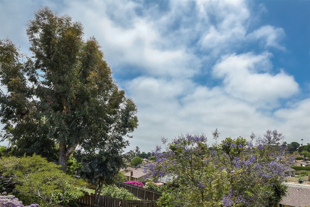 4652 Mystik Road Oceanside, CA 92056 - Photo 16 of 24