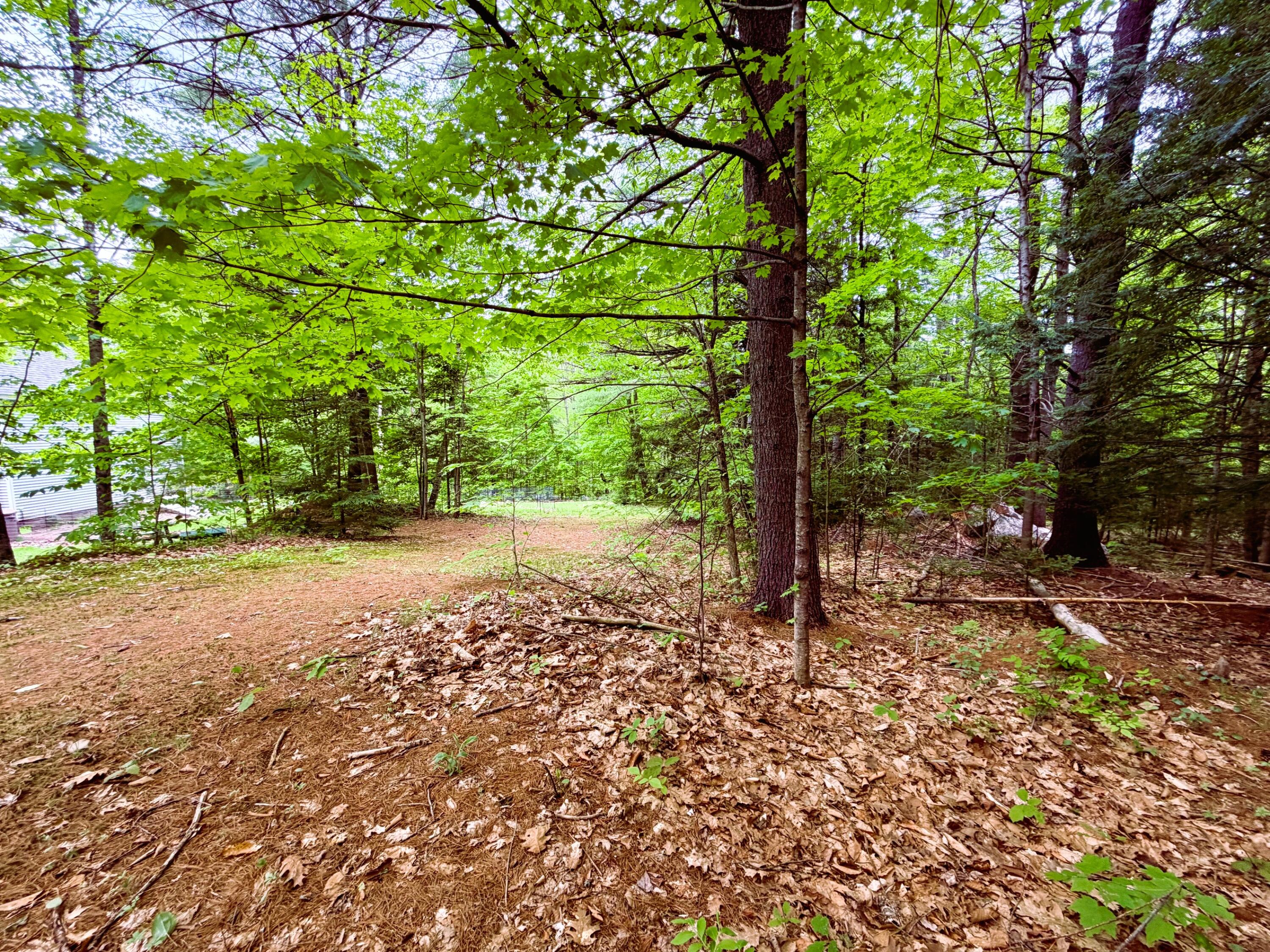 411 East Jay Road Jay, ME 04239 - Photo 42 of 44 Another view of the acreage