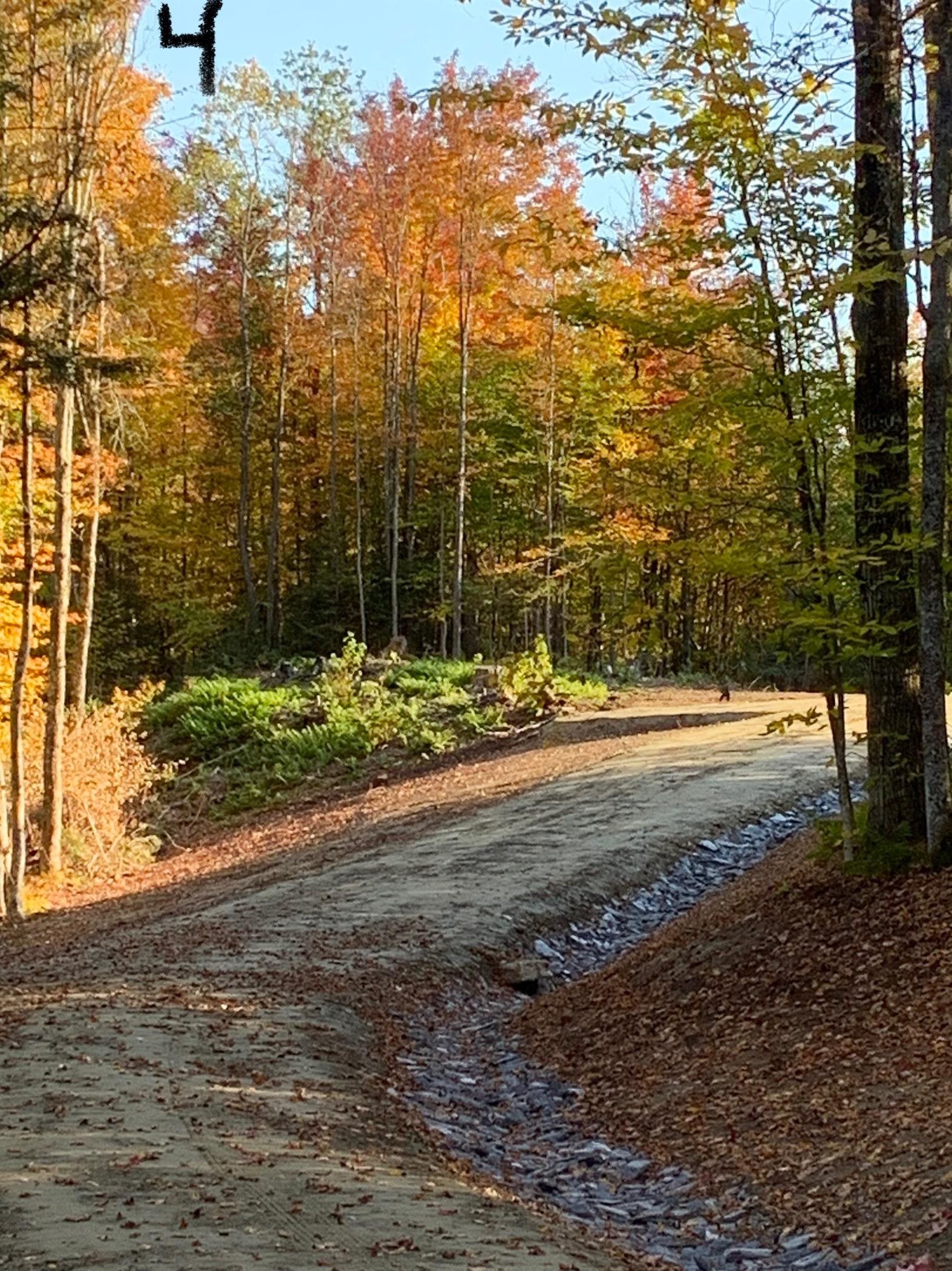 Lot 4 Southview Road, Unit LOT 4 Warren, VT 05674 - Photo 3 of 6