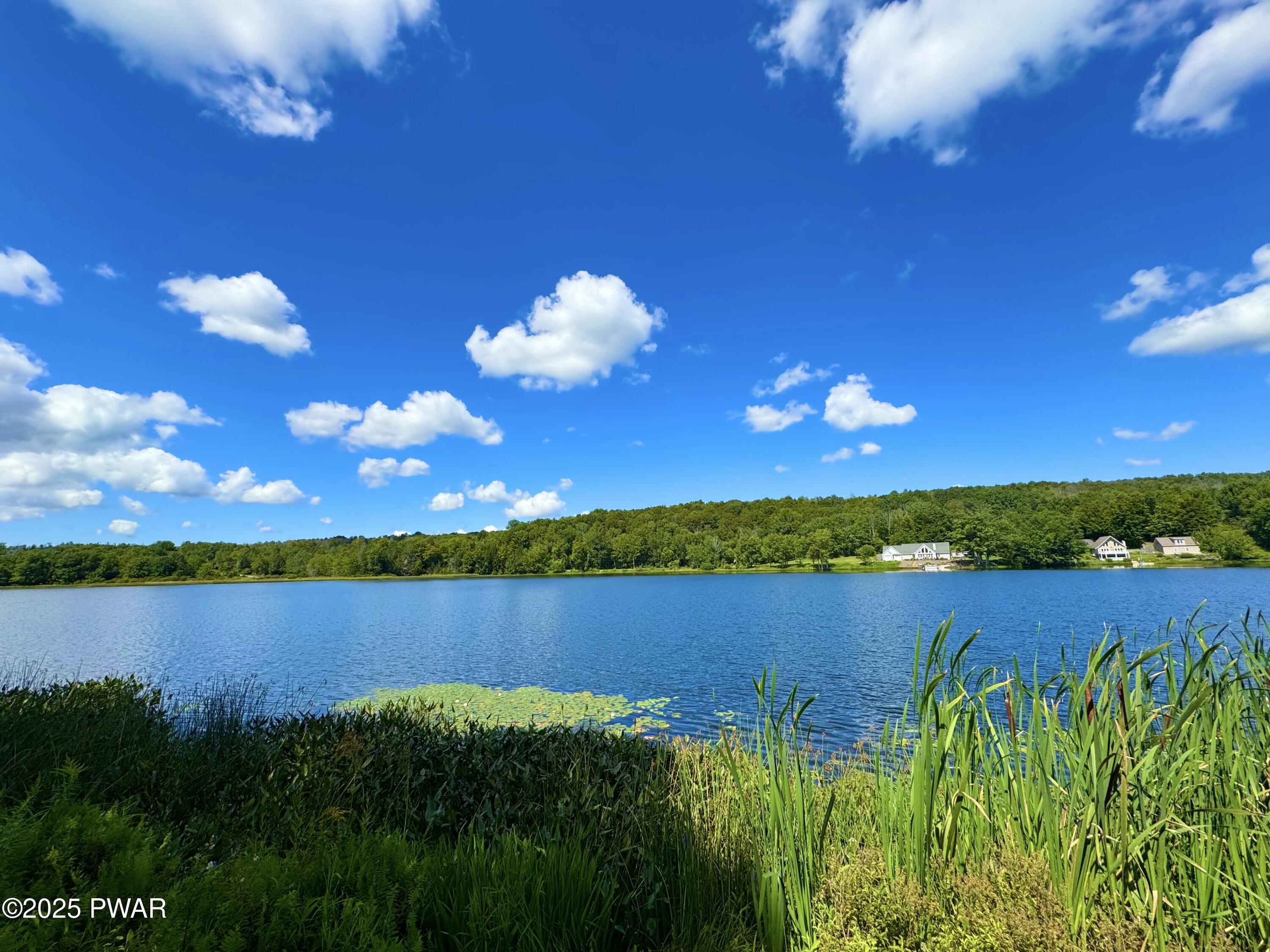76 South Shore Road Pleasant Mount, PA 18453 - Photo 27 of 30 Gorgeous Bigelow lake