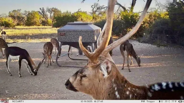 $1,445,000 | 267 Cr 112 Goldthwaite Tx 76844, Goldthwaite, TX 76844