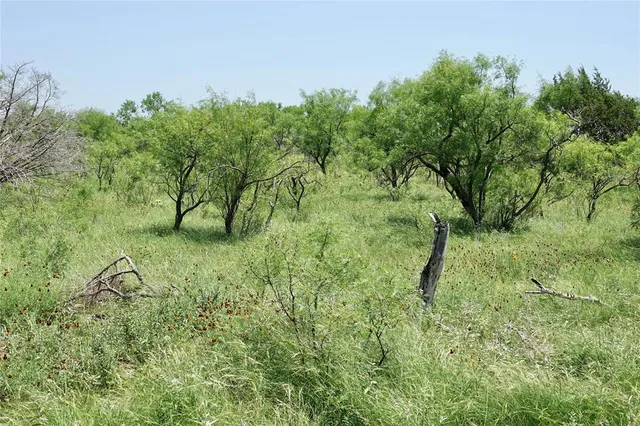 $1,445,000 | 267 Cr 112 Goldthwaite Tx 76844, Goldthwaite, TX 76844