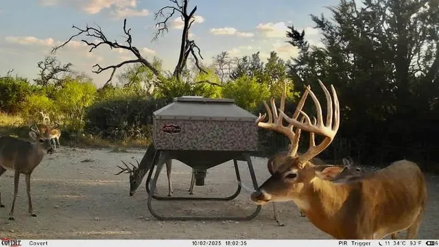 $1,445,000 | 267 Cr 112 Goldthwaite Tx 76844, Goldthwaite, TX 76844