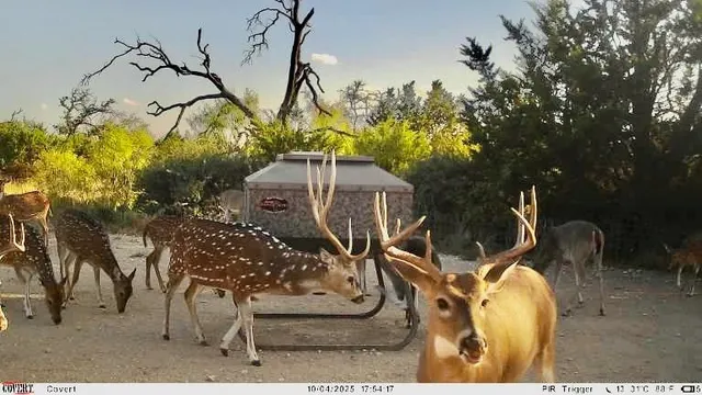 $1,445,000 | 267 Cr 112 Goldthwaite Tx 76844, Goldthwaite, TX 76844