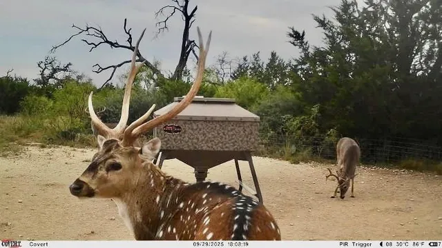 $1,445,000 | 267 Cr 112 Goldthwaite Tx 76844, Goldthwaite, TX 76844