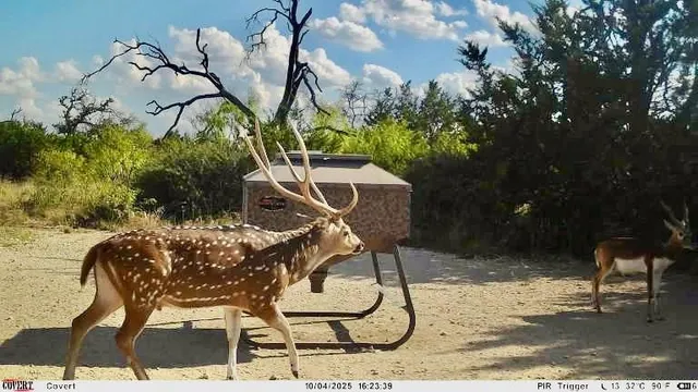 $1,445,000 | 267 Cr 112 Goldthwaite Tx 76844, Goldthwaite, TX 76844