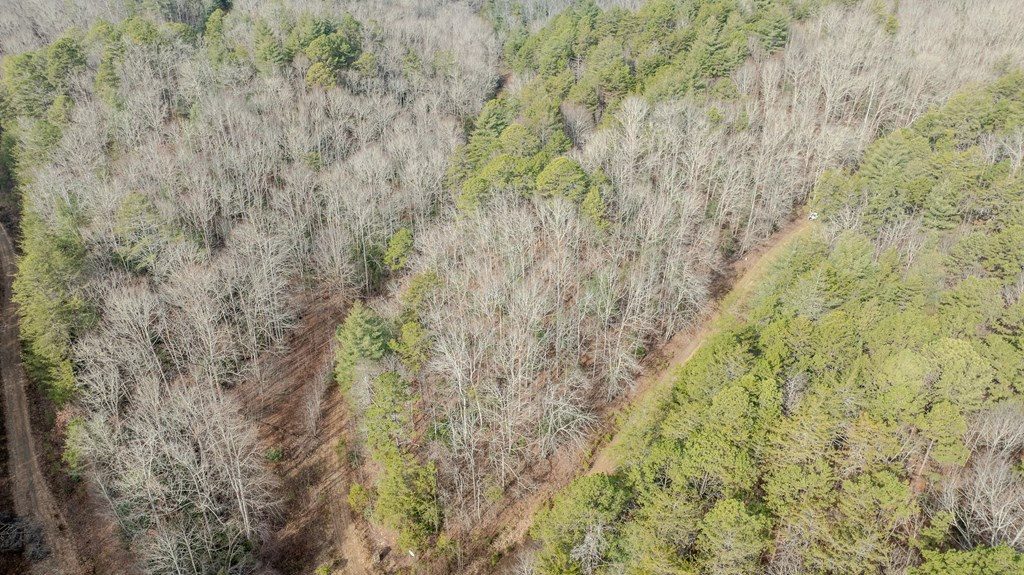 1.03 Deep Frst Road Murphy, NC 28906 - Photo 24 of 28
