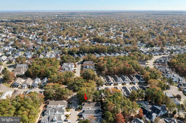 a view of city and ocean