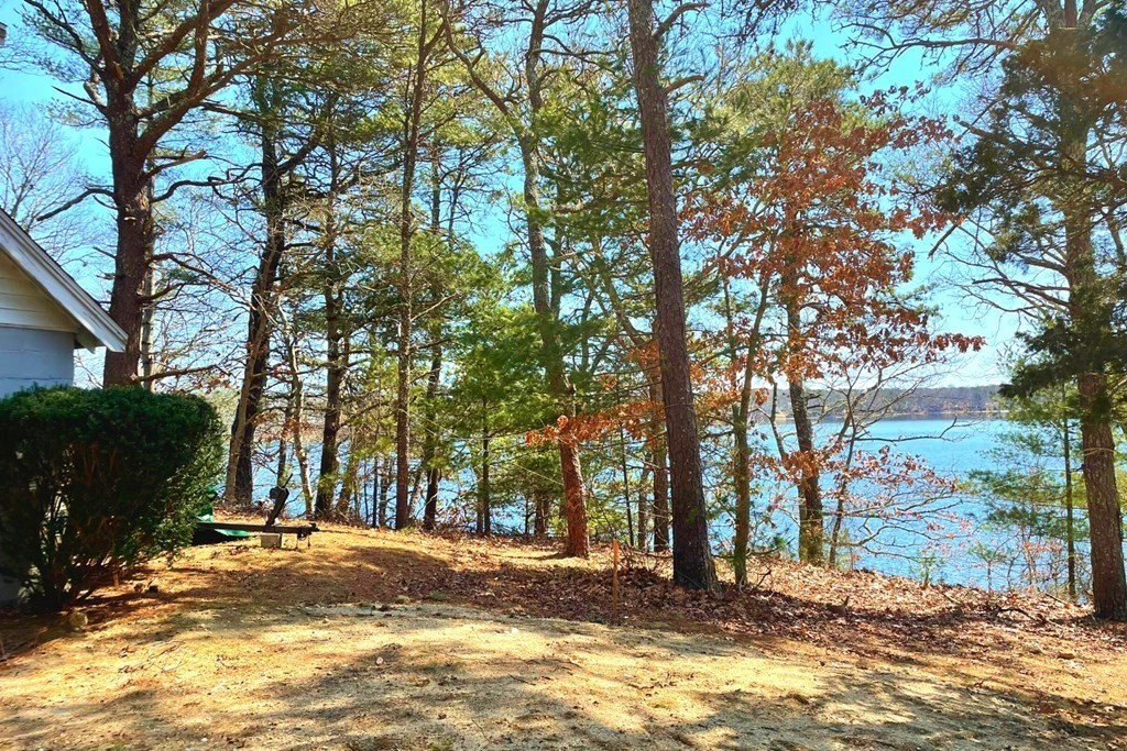 43 Horseshoe Bend Way Mashpee, MA 02649 - Photo 2 of 7 a view of a yard with large trees