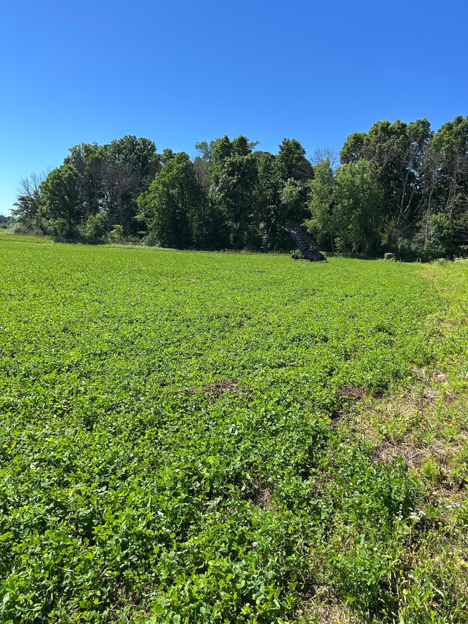 Tbd Tbd Old Cty Road Woodville, WI 54028 - Photo 12 of 30