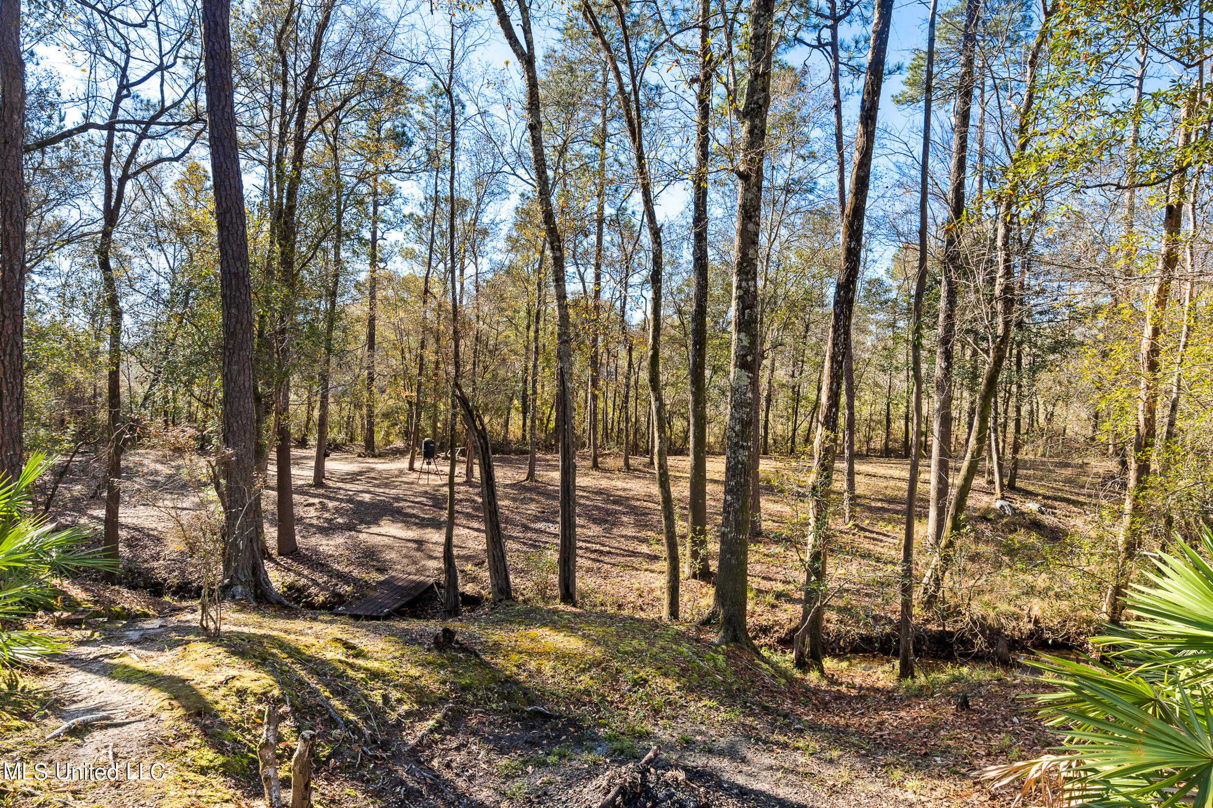 15531 Dobson Road D'Iberville, MS 39540 - Photo 38 of 50 ghubphoto_041