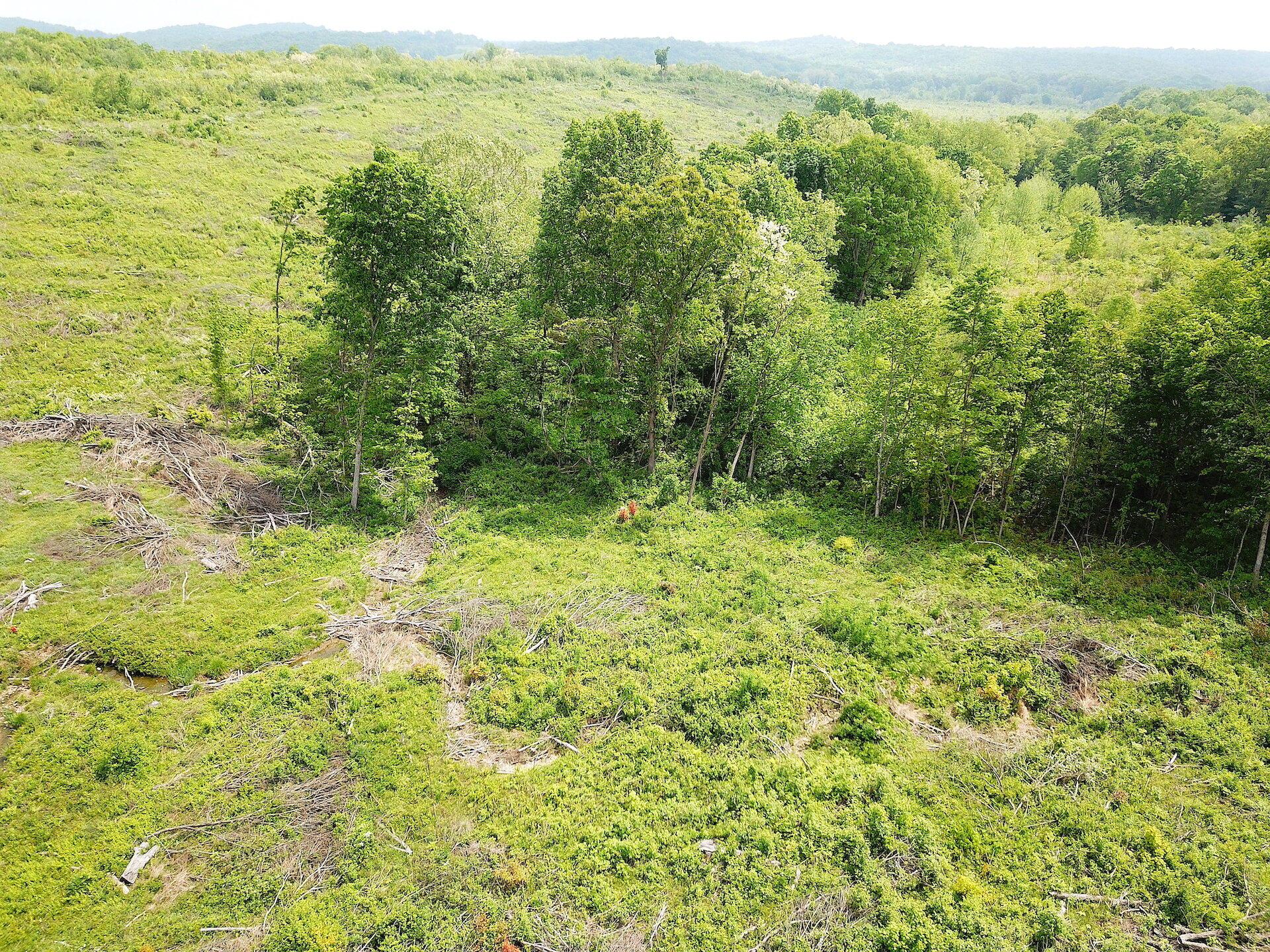 0 Beatty Road Waverly, OH 45690 - Photo 16 of 28 DJI_0975