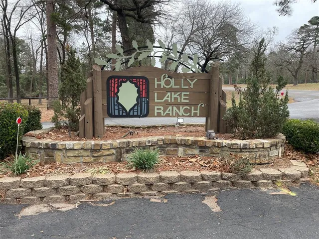 $160,000 | 197 Holly Hill Circle, Unit 223G, Holly Lake Ranch, TX 75765