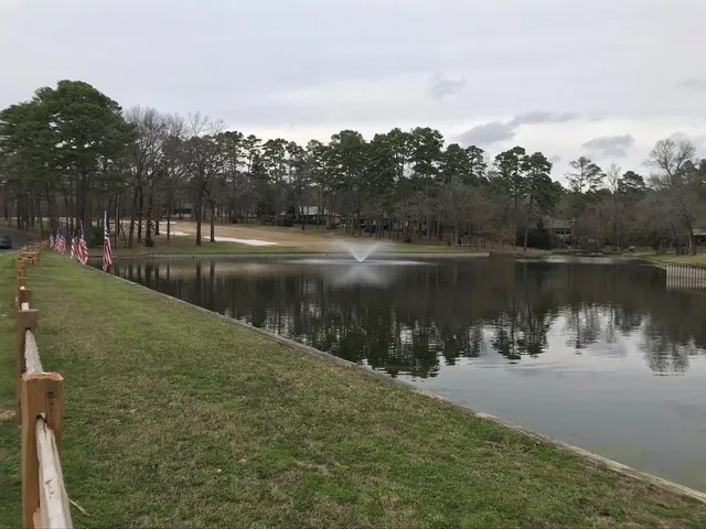 $160,000 | 197 Holly Hill Circle, Unit 223G, Holly Lake Ranch, TX 75765