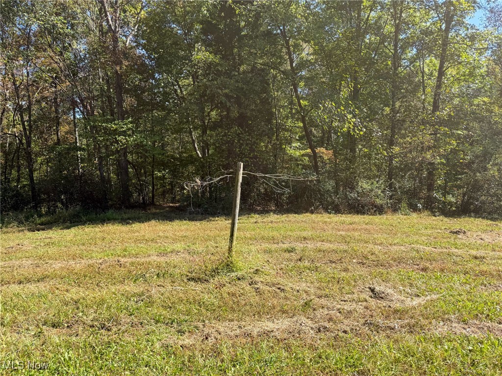 Layman Road Vincent, OH 45784 - Photo 3 of 35 View of grassy yard