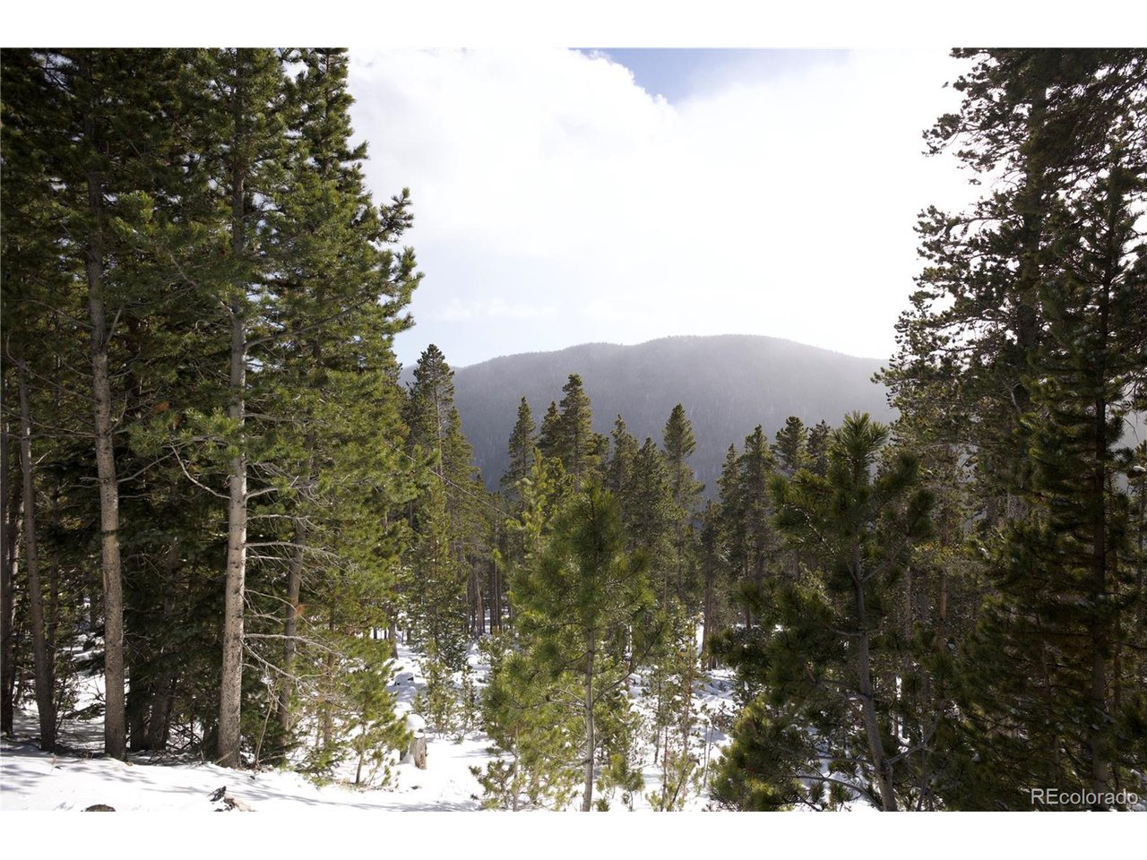 37 Vista Road Idaho Springs, CO 80452 - Photo 2 of 27 a view of a yard