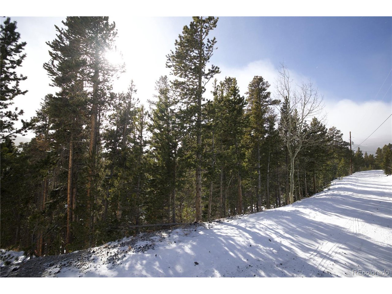37 Vista Road Idaho Springs, CO 80452 - Photo 5 of 27 a view of backyard with green space