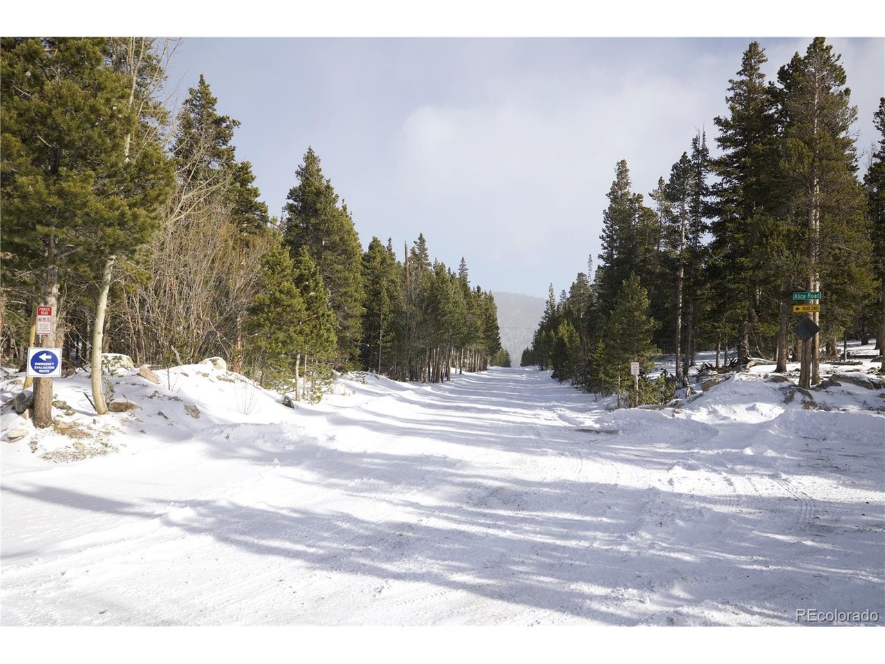 37 Vista Road Idaho Springs, CO 80452 - Photo 6 of 27 a view of a backyard of the house