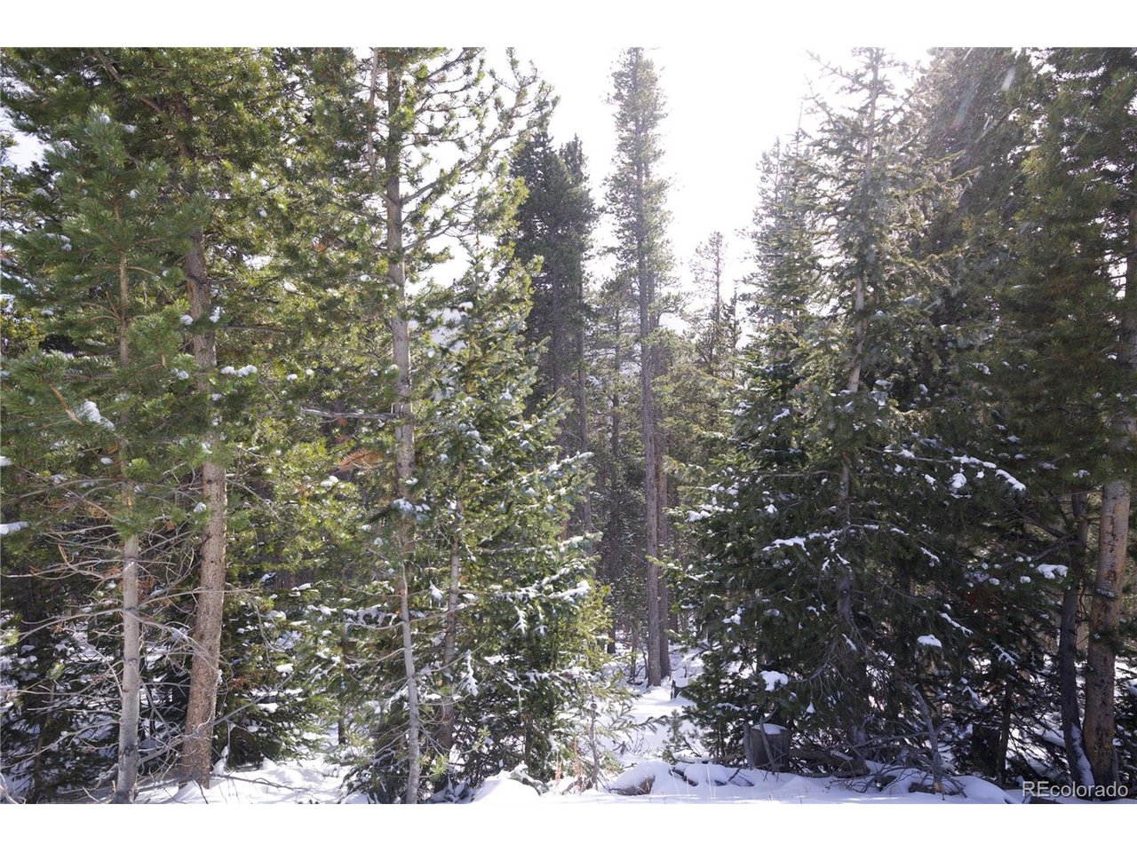 37 Vista Road Idaho Springs, CO 80452 - Photo 9 of 27 a backyard of a house