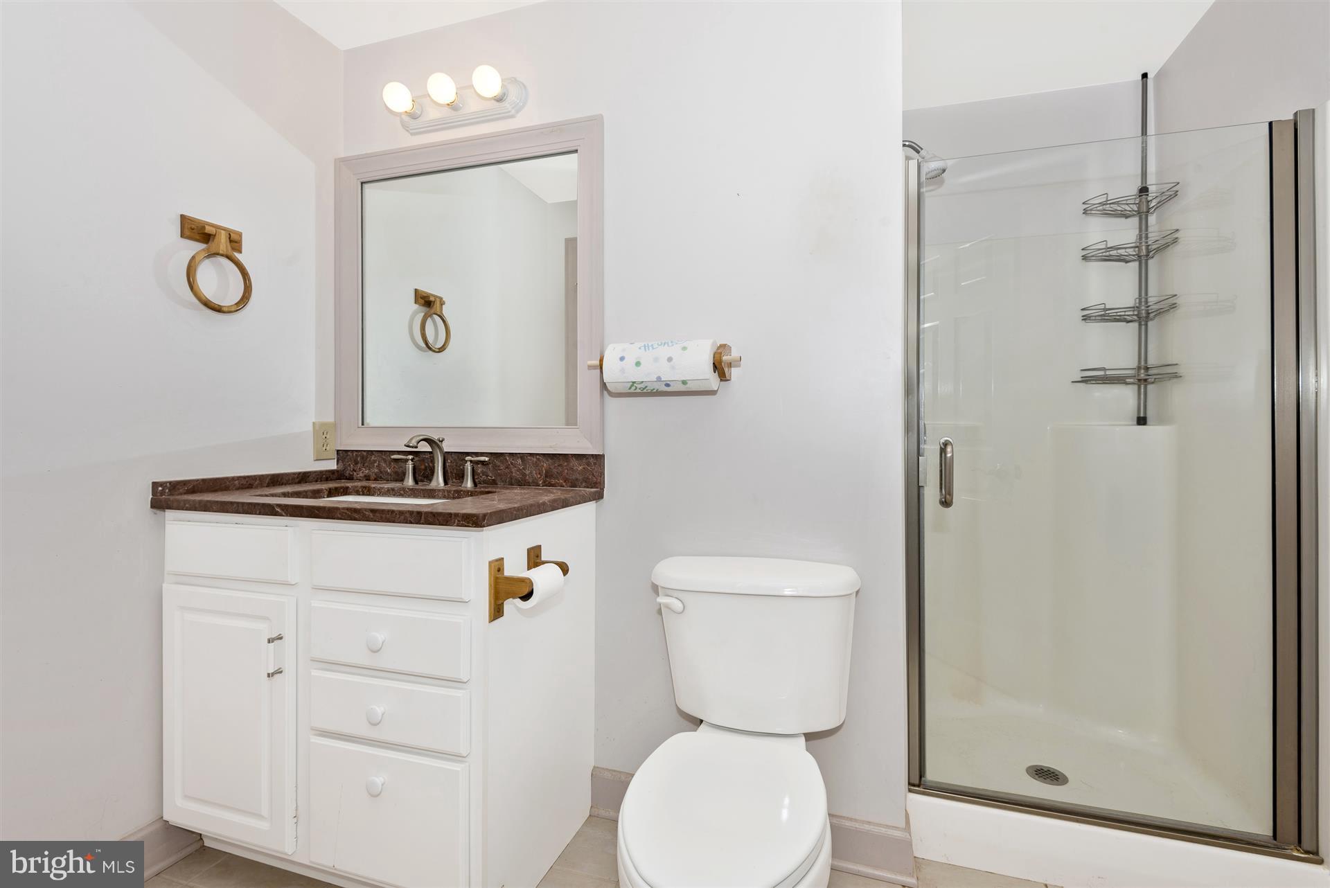 2445 Chestnut Grove Road Sharpsburg, MD 21782 - Photo 23 of 30 3/4 bath in basement