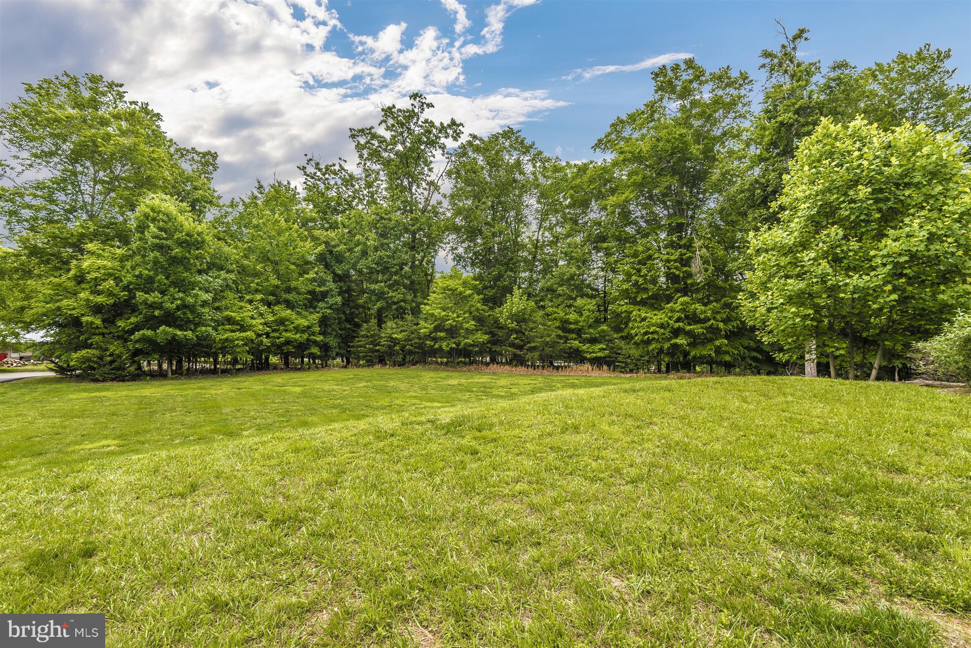 2445 Chestnut Grove Road Sharpsburg, MD 21782 - Photo 27 of 30 wonderful yard - very usable