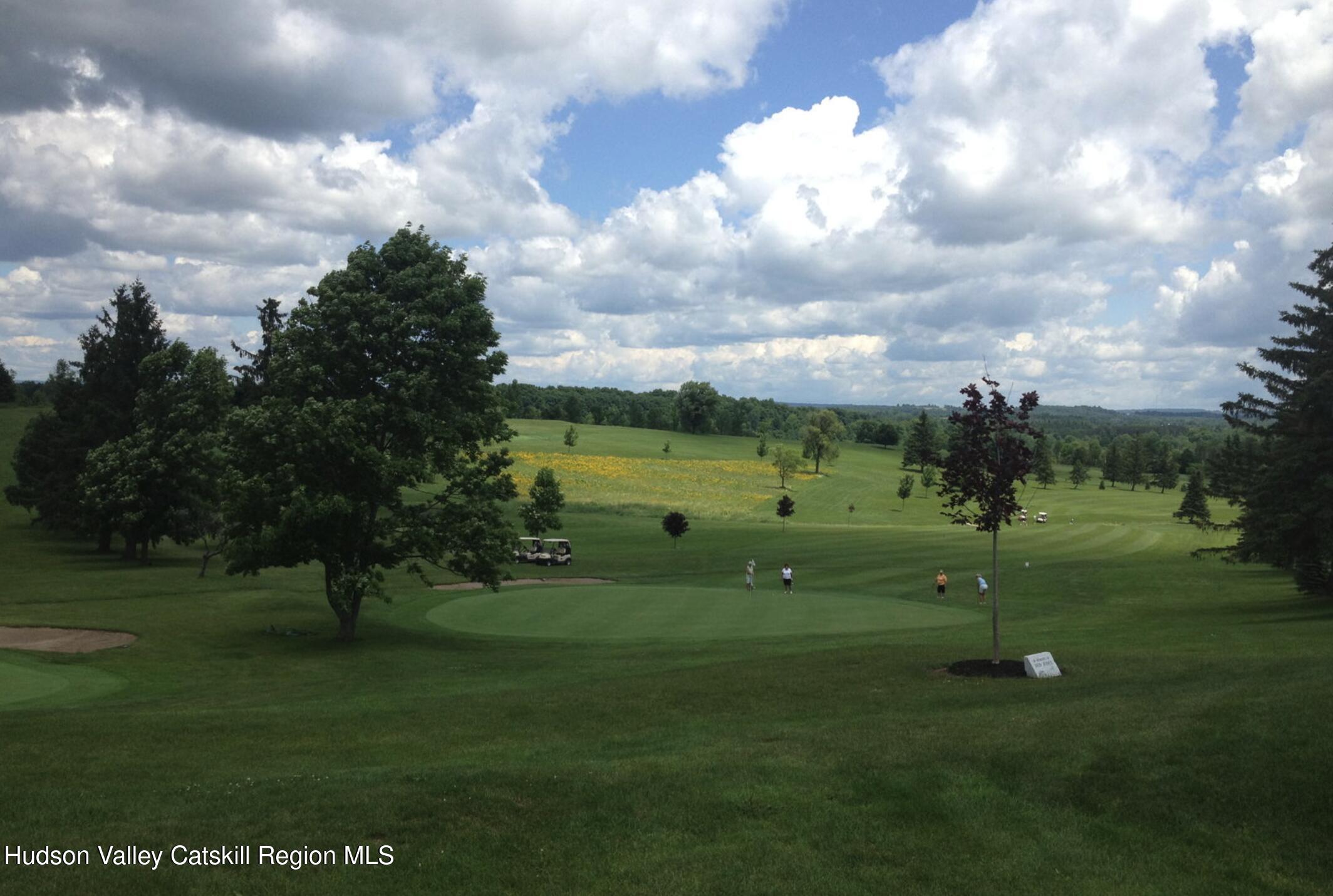 154 Golf Club Road Canajoharie, NY 13317 - Photo 18 of 45 a view of a golf course with a garden